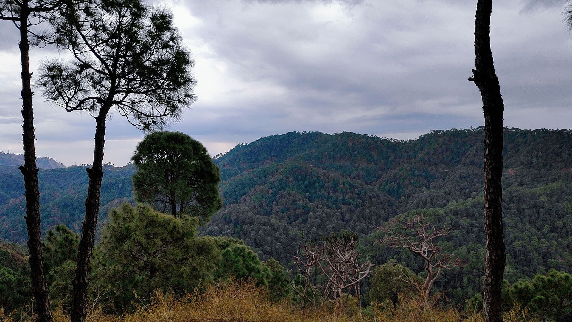 Kangojodi_Attractions
