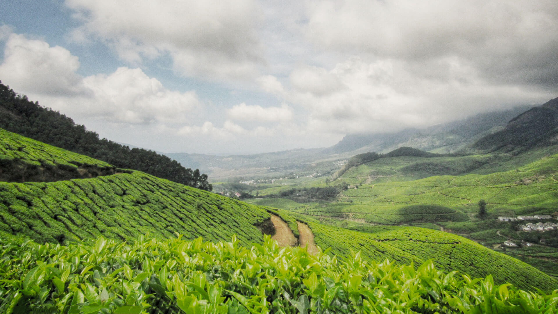 Devikulam_Attractions