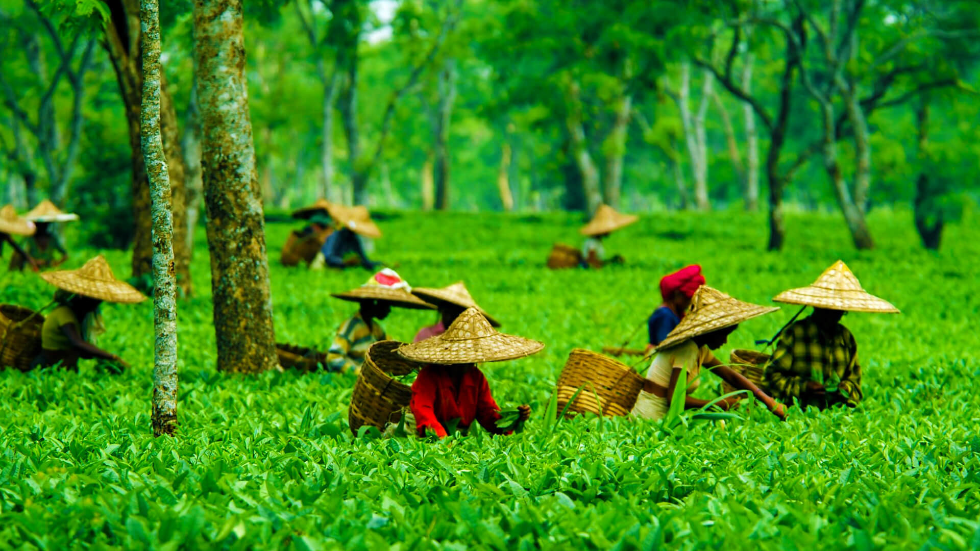 Dispur_Attractions