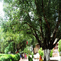 Chatra_district_Attractions