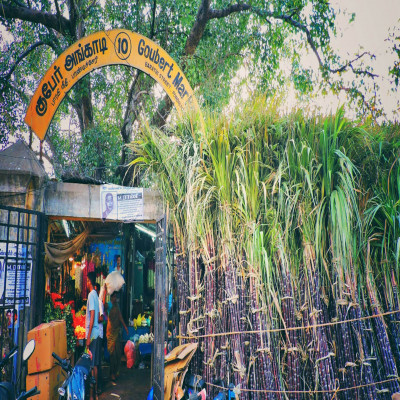 Pongal_Package_Tour