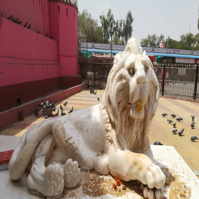 Karni_Mata_Festival_Places_to_visit