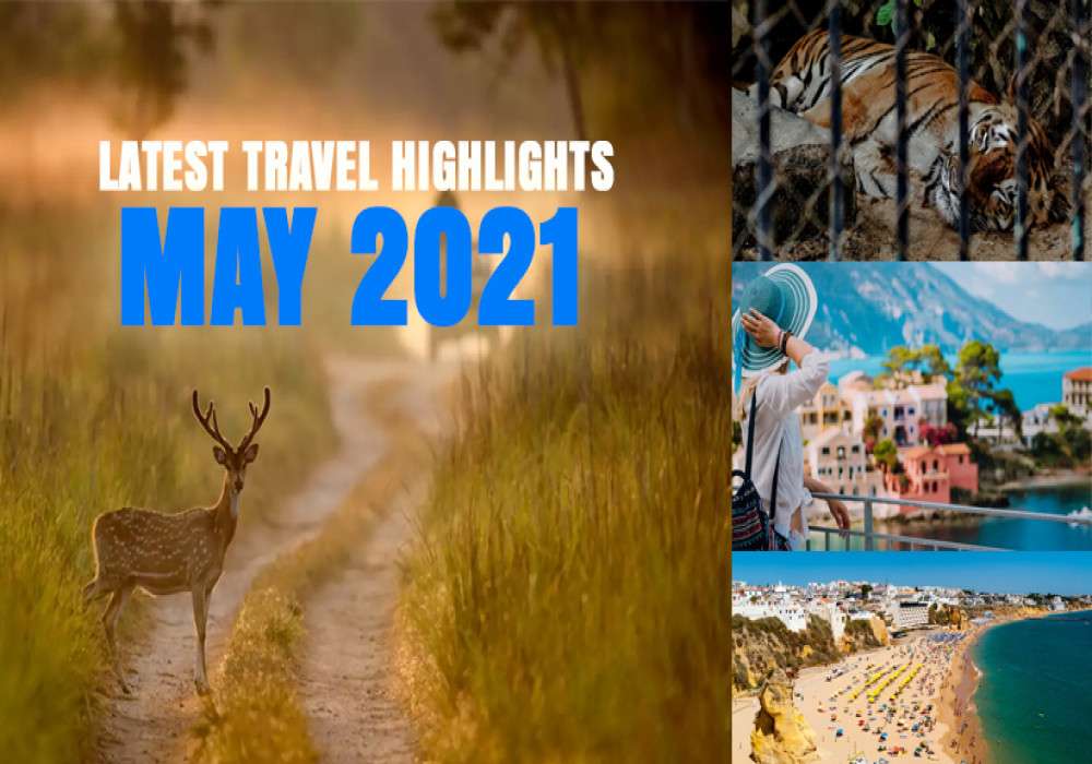 Latest Travel Highlights - A Quick Update On Latest Developments In Travel Industry