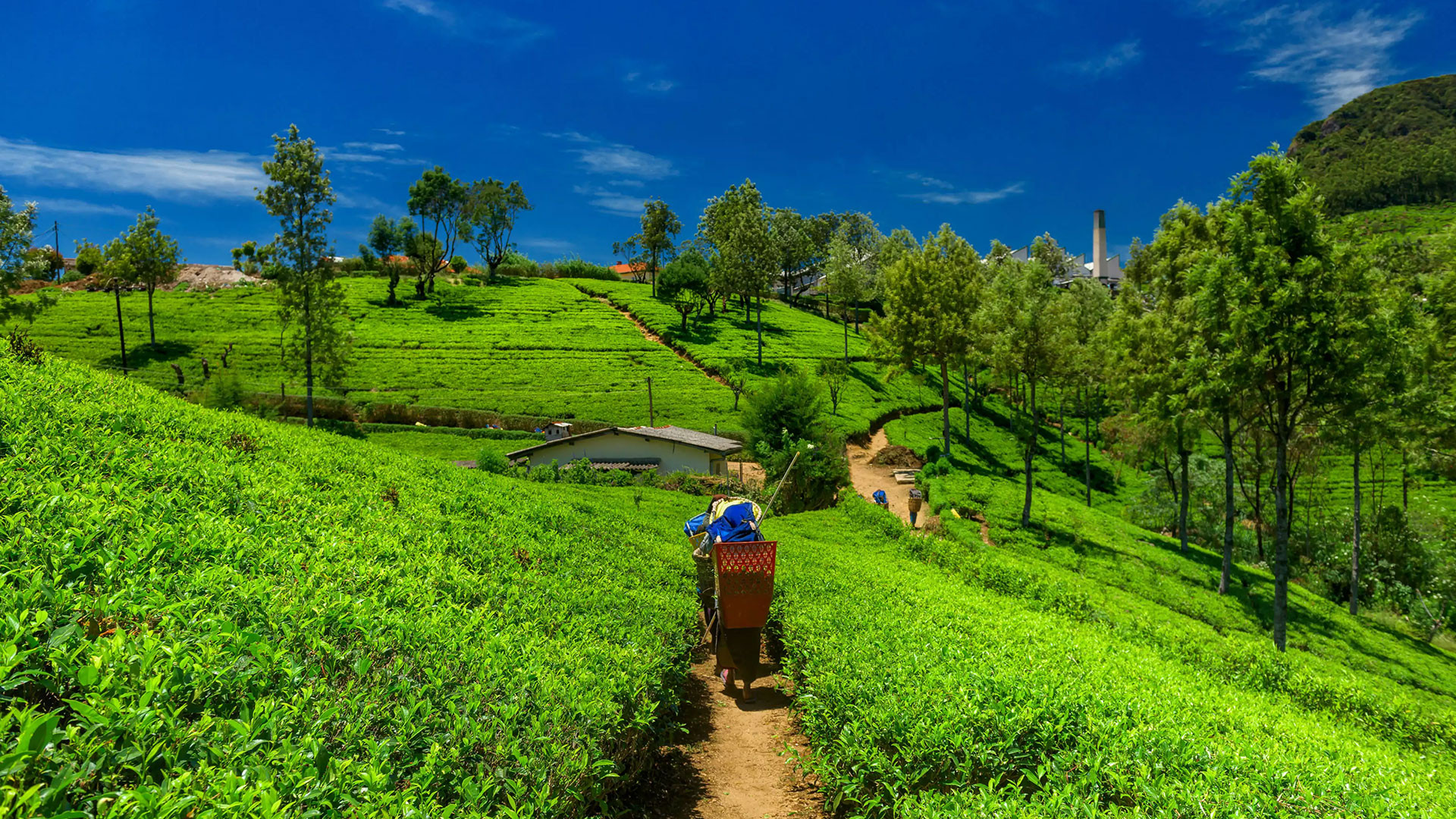 Sikkim_Attractions